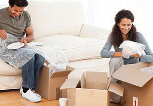 Removals Company Devon
